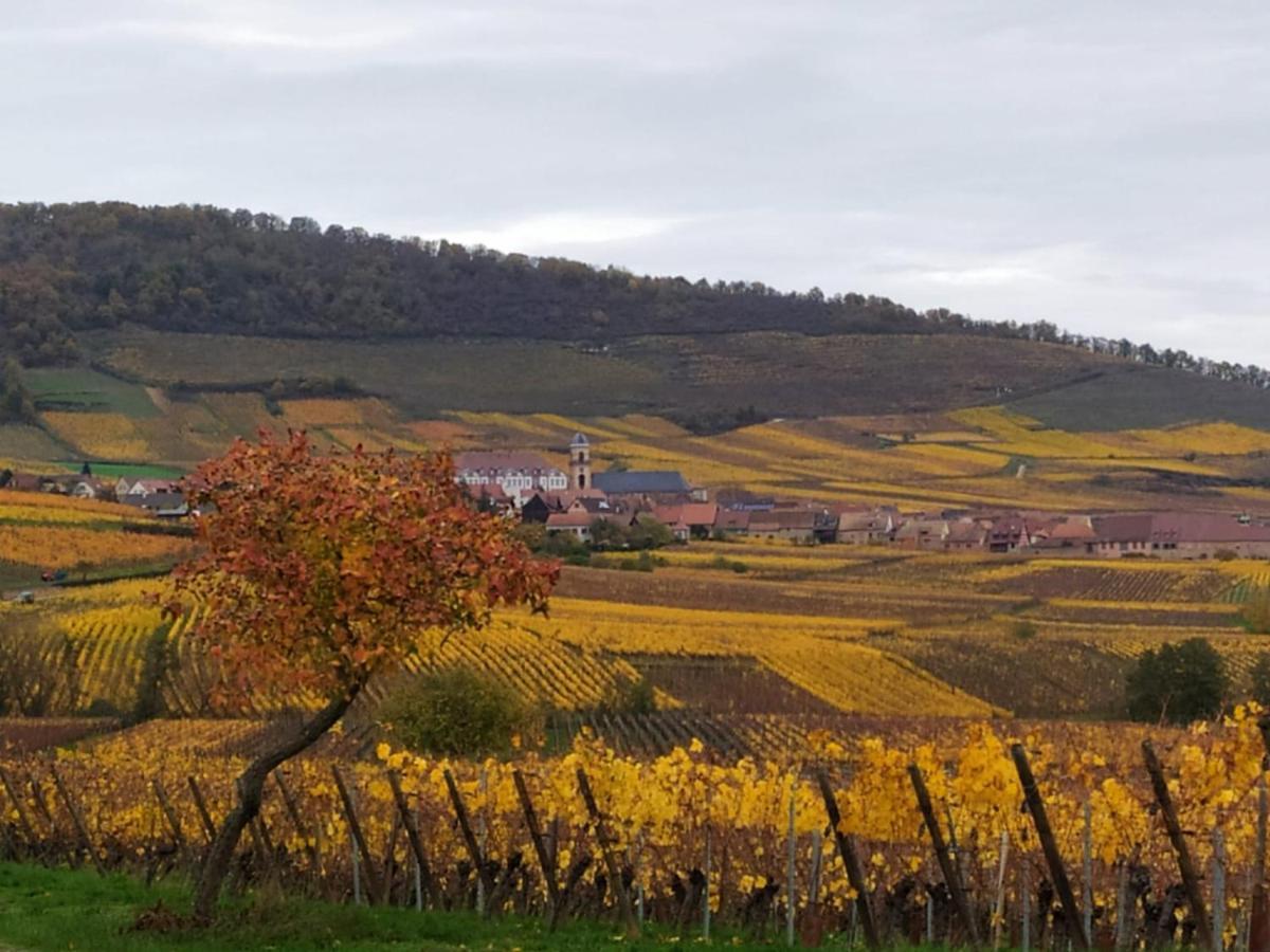 Le BUBELE au coeur du centre médiéval et vignoble Ribeauvillé Exterior foto